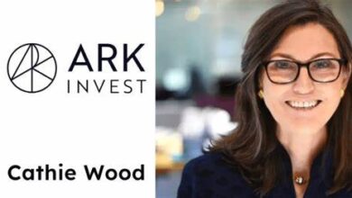 Cathie Wood the highly regarded investor and CEO of ARK Invest